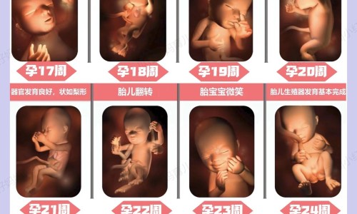 什么是重性精神病人网 - 网站提供什么是重性精神病人群小常识、重性精神障碍包括哪些